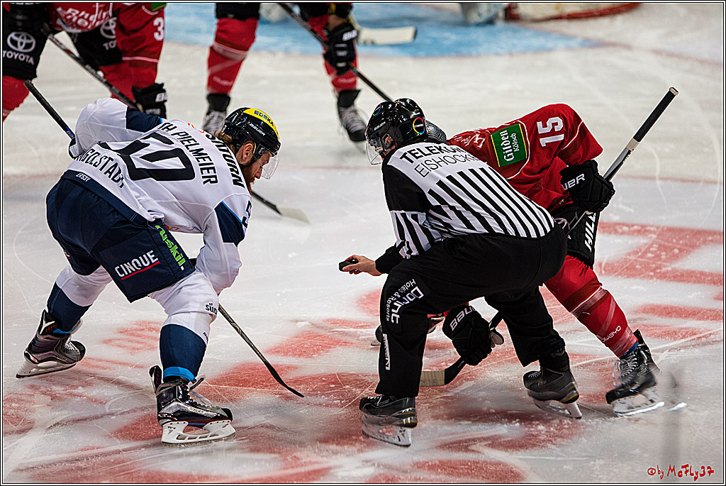 DEL, Koelner Haie - ERC Ingolstadt, 20.01.2017